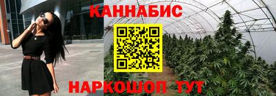 индика Обнинск