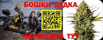 индика Обнинск