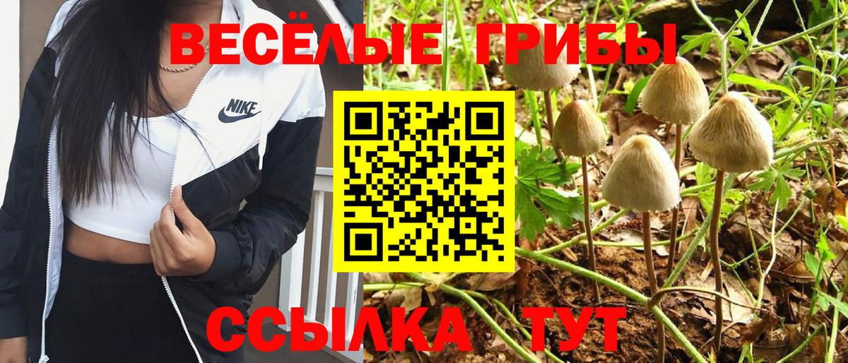 Псилоцибиновые грибы Psilocybe  Вход с VPN  как найти наркотики  Саяногорск 