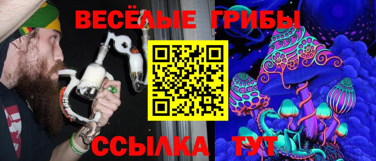 МЕФ Саяногорск