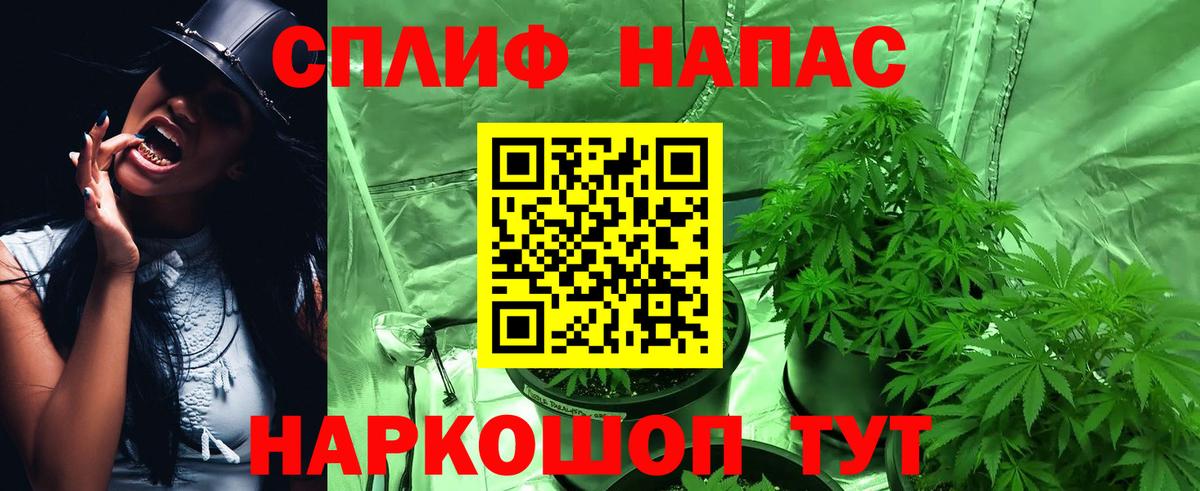 Канабис план Саяногорск
